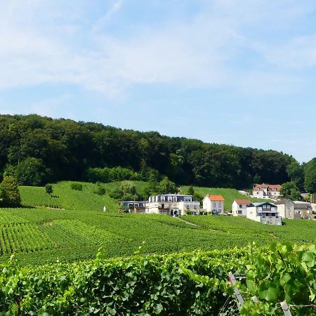 B&B En Champagne Cramant Eksteriør billede